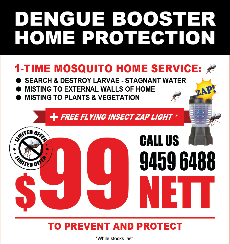 Promotion: Dengue Booster Home Protection